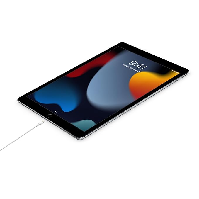 Apple Original USB-C to Lightning Cable (1m)