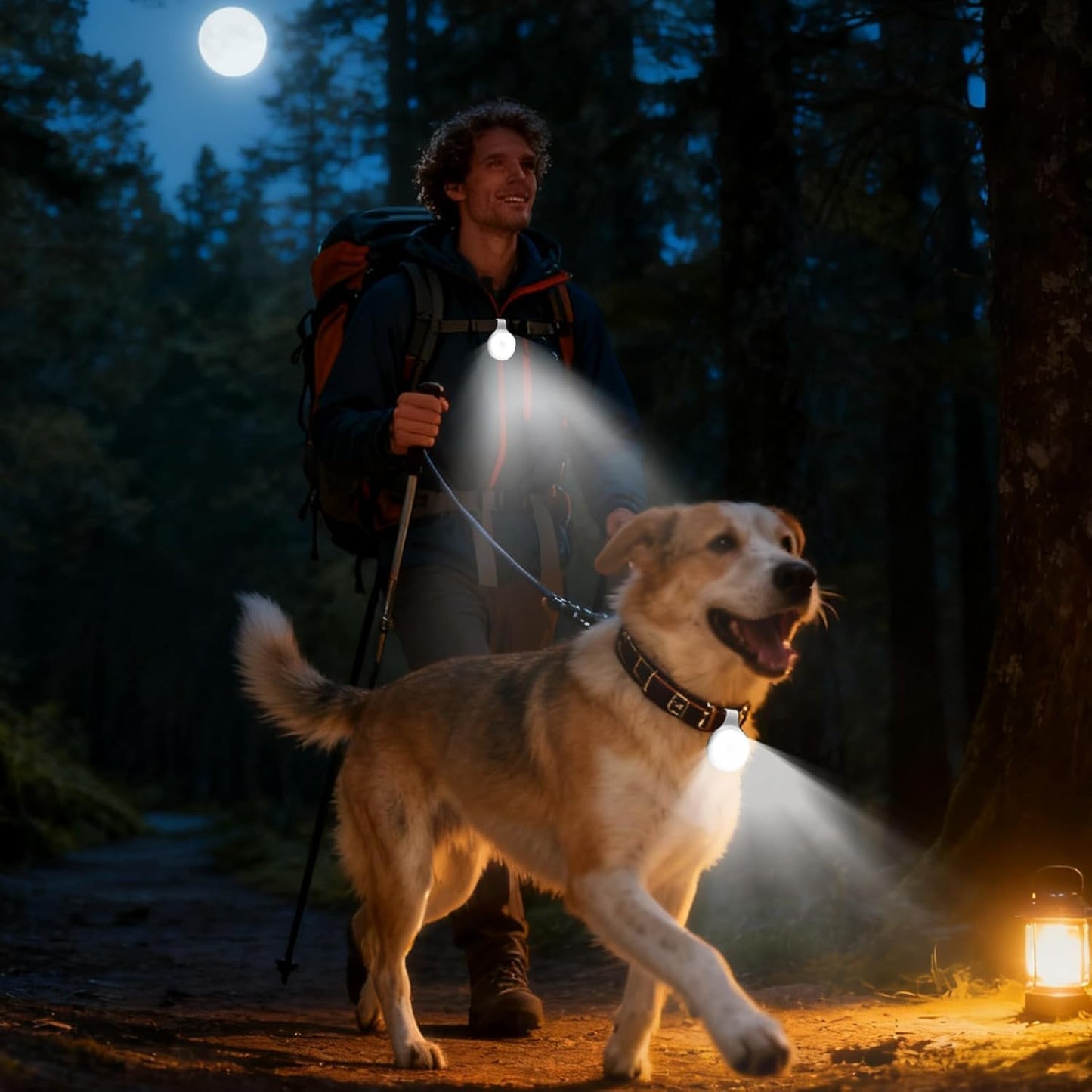 SUSHI Magnetic Mini LED Ring Light, Rechargeable Selfie Light for Phone, iPhone, Android, iPad, Laptop for Selfie/Video Conference/Zoom Call/Photography/Makeup/Picture (Black)